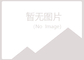 永吉县字迹采矿有限公司